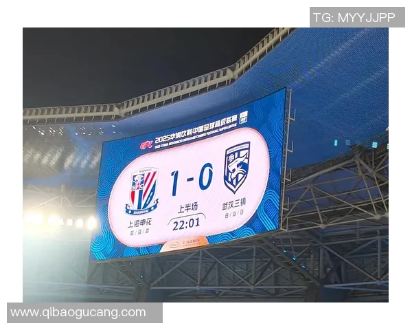 申花与辽宁精彩对决录像回放央视全面解析比赛亮点与精彩瞬间